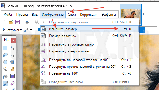 Процесс уменьшения фото в Paint.net Процесс уменьшения фото в Paint.net