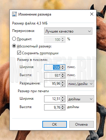 Процесс уменьшения фото в Paint.net Процесс уменьшения фото в Paint.net