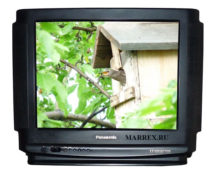 Фотография телевизора Panasonic GAOO 50. Фотография телевизора Panasonic GAOO 50.