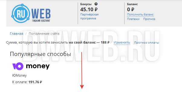 Заполняем данный для регистрации домена: Заполняем данный для регистрации домена: