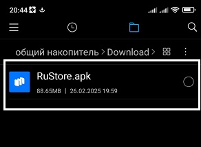 Скачанный файл ‘rustore.apk‘ в папке download. Скачанный файл ‘rustore.apk‘ в папке download.